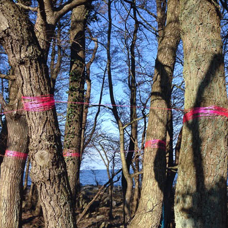 Malin Schønbeck sculpture visual art